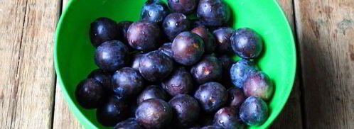 варенье из слив с грецкими орехами. Шаг 8