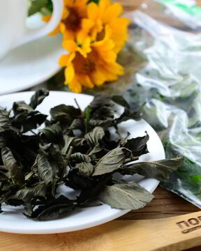 Заготовка мяты на зиму