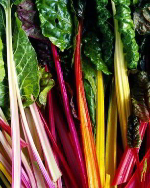 Заготовки из мангольда