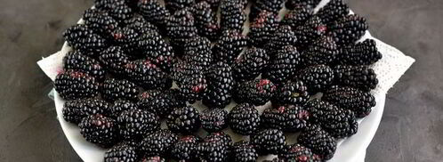 заморозка ежевики на зиму. Шаг 7