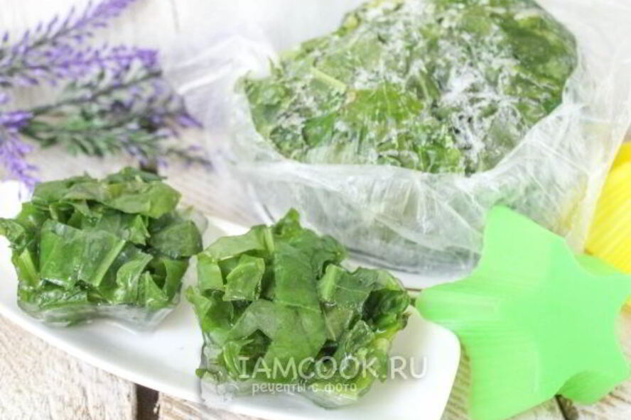 Рецепт заморозки щавеля на зиму