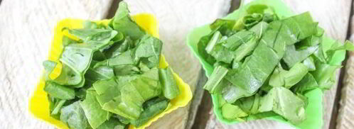 заморозка щавеля на зиму. Шаг 7