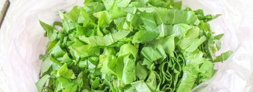 заморозка щавеля на зиму. Шаг 8