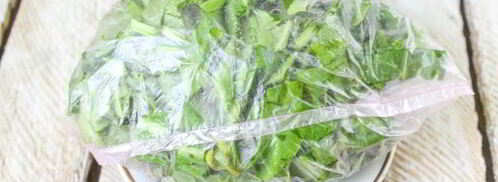 заморозка щавеля на зиму. Шаг 9