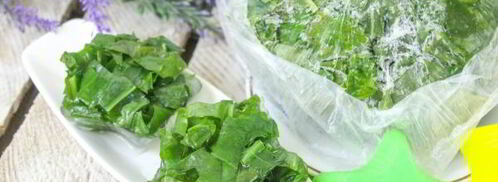 заморозка щавеля на зиму. Шаг 11