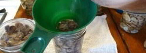 жареные белые грибы на зиму. Шаг 3