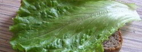 брускетта с грибами. Шаг 7