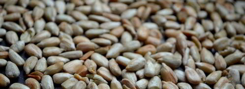 брускетта с запеченным корнем сельдерея и оливками. Шаг 5