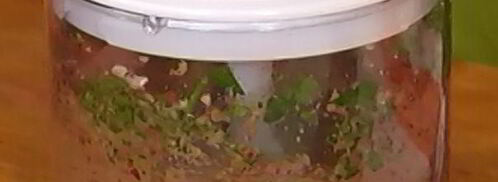 итальянский бургер. Шаг 5