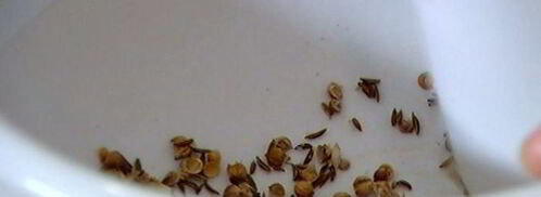 нутбургеры. Шаг 4