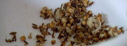 нутбургеры. Шаг 7