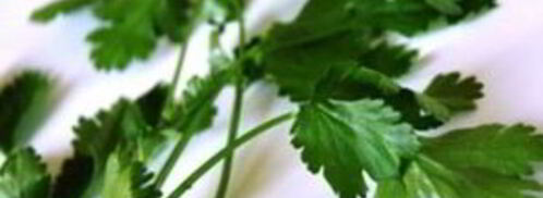 буррито с ветчиной и сыром. Шаг 8