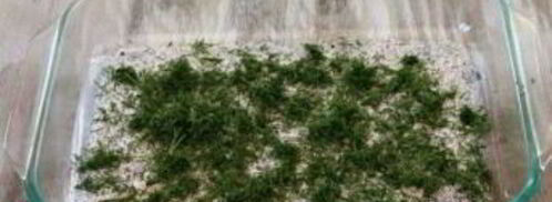 бутерброды с форелью. Шаг 4