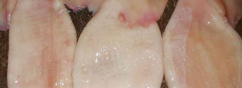 фаршированные кальмары с рисом и яйцом. Шаг 5