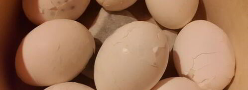 фаршированные яйца с тунцом. Шаг 3