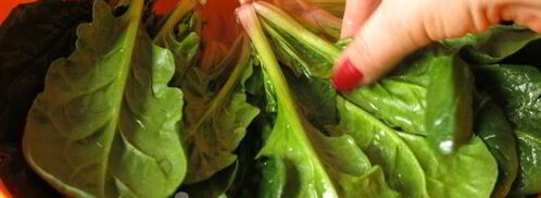 яйца фаршированные в цветном желе. Шаг 11