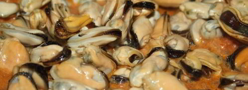 горячая закуска из мидий. Шаг 6