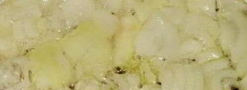 грибная икра из свежих грибов. Шаг 3