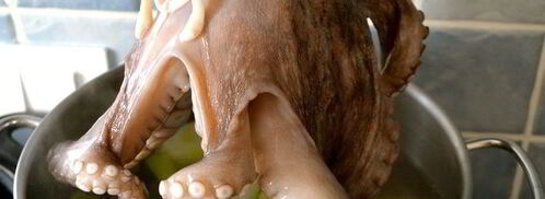 карпаччо из осьминога. Шаг 3