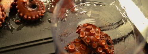 карпаччо из осьминога. Шаг 6