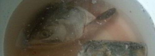 холодец из головы сома. Шаг 3