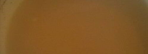 холодец из головы сома. Шаг 5