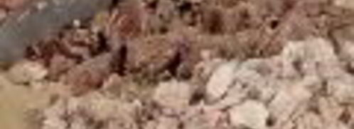 холодец из свинины и телятины. Шаг 3