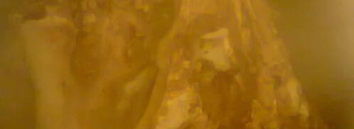 холодец из свинины. Шаг 3