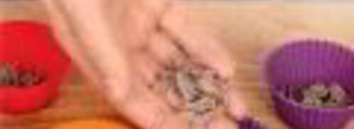 холодец с кровавой мэри. Шаг 4