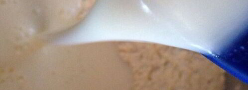 хот-дог такса. Шаг 3