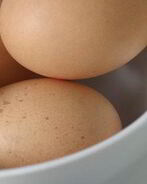 Омлет с орегано в мультиварке