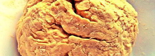 печеночный паштет в песочном тесте. Шаг 5