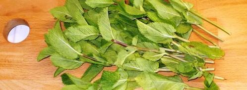 рулеты из индейки с персиками и мятным песто. Шаг 6