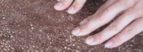 шоколадный рулет с грецкими орехами. Шаг 4