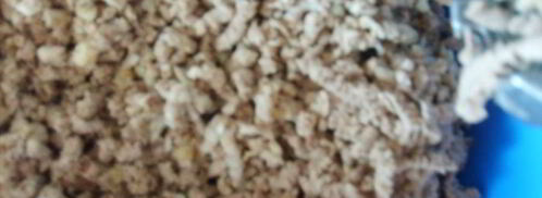 самса по-казахски. Шаг 3