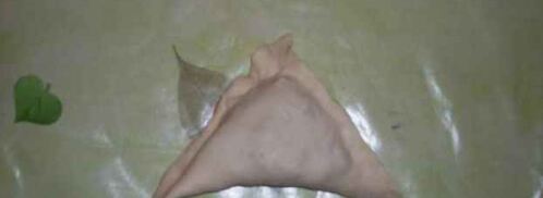 самса. Шаг 24