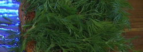 семга, маринованная в джине с можжевельником. Шаг 3