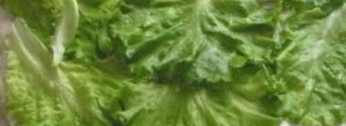 шаурма в лаваше с курицей. Шаг 8