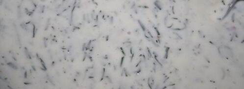 бородинские сухарики со сметанно-кефирным соусом с чесноком. Шаг 3