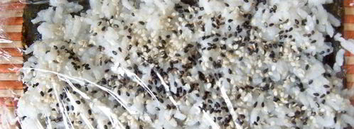 классический суши-ролл филадельфия. Шаг 3