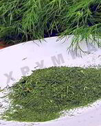 Сушеный укроп в духовке