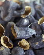 Сушеные баклажаны в электросушилке