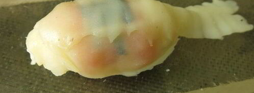 суши рыбки. Шаг 7