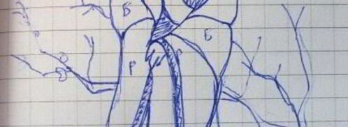 суши-торт японские мотивы. Шаг 10