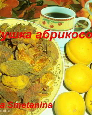 Сушка абрикосов в электросушилке