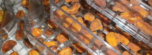 сушка абрикосов в электросушилке. Шаг 8