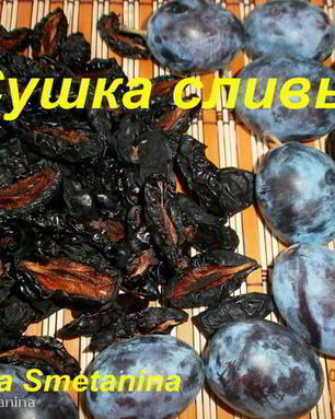 Сушка слив в электросушилке