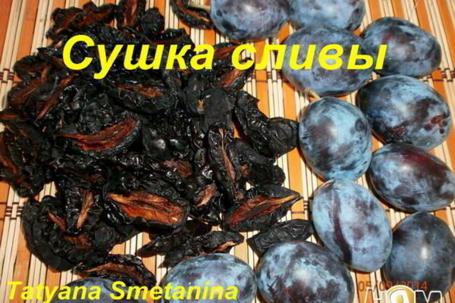 Рецепт сушки слив в электросушилке