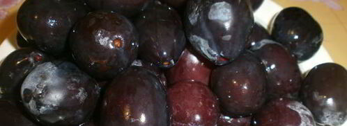 сушка слив в электросушилке. Шаг 3