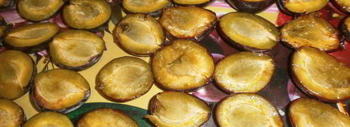 сушка слив в электросушилке. Шаг 4